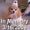 Timmy - in memory 3/16/2009